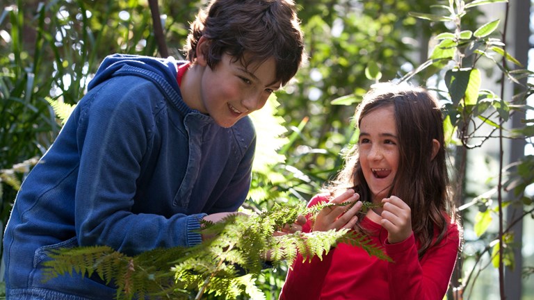 Children looking at ferns in Forest gallery