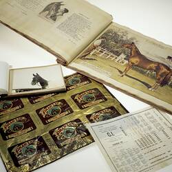 Phar Lap collection