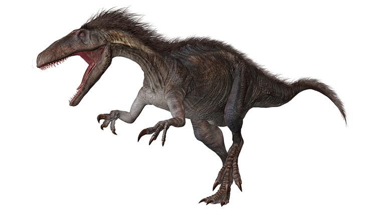 A fearsome, two-legged dinosaur with strong, grasping arms.