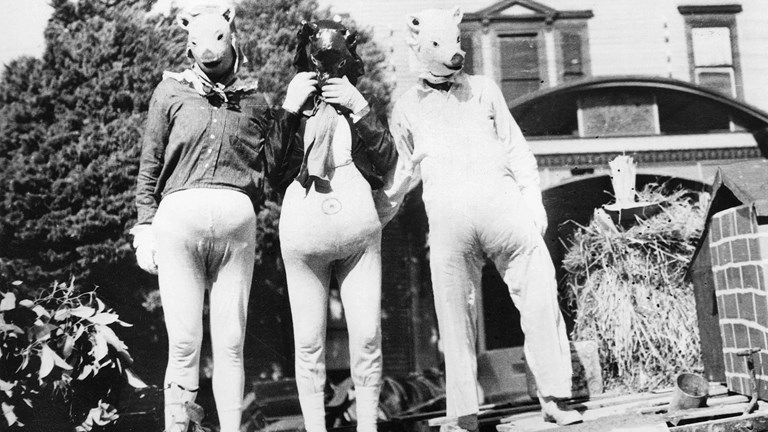 Black and white image of three men dressed as pigs standing on the back of a truck.