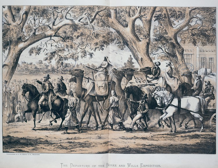 A hand drawn illustration of an expedition party riding horses and camels