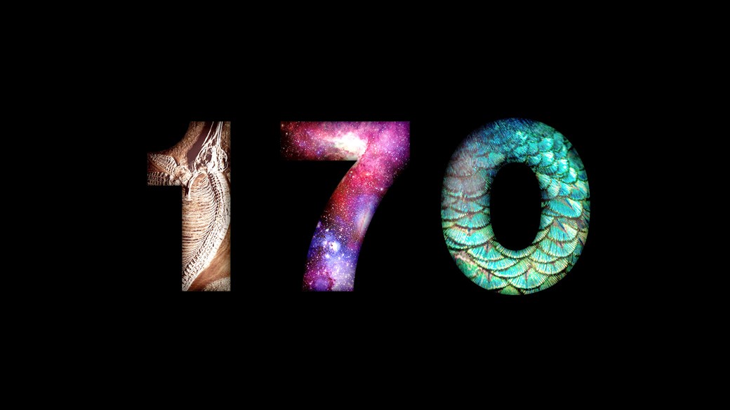 Textured 170 on a black background