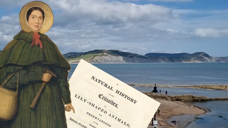 A composite image of a woman pointing to an old book on top of an image of a coastline