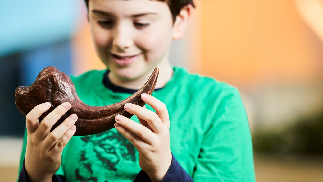 Young boy holding a dinosaur fossil
