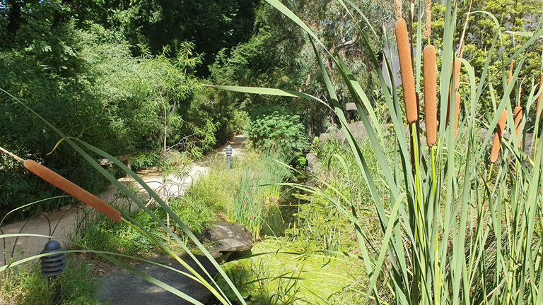 garden