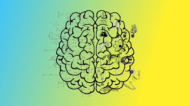 An illustration of a brain with maths symbols on one side and scientific symbols on the other side 